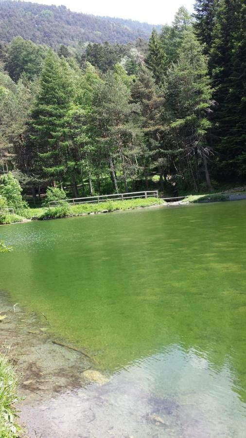 Il Larice Daire Salbertrand Dış mekan fotoğraf