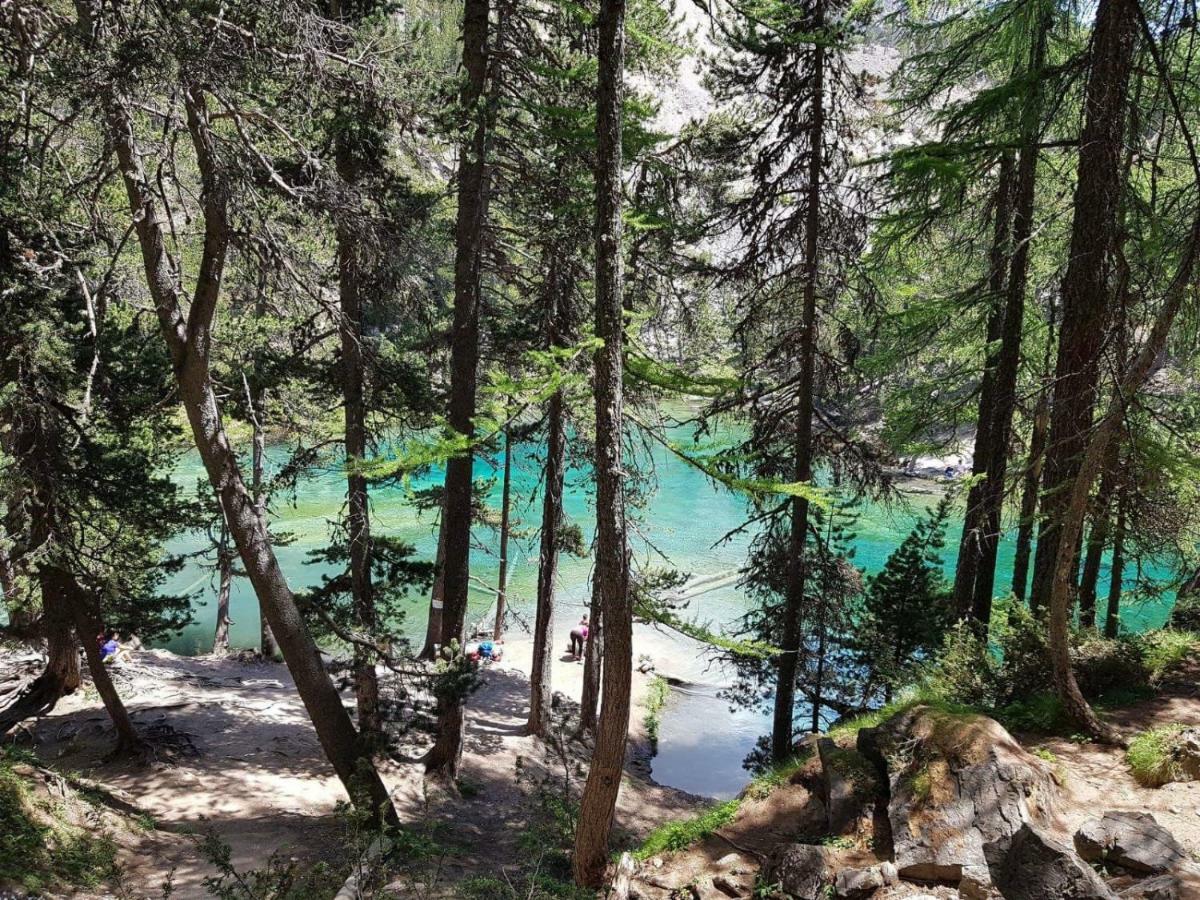 Il Larice Daire Salbertrand Dış mekan fotoğraf